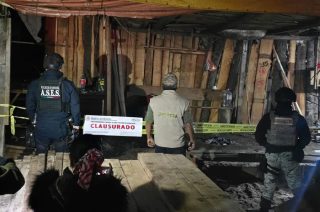 Autoridades federales y estatales aseguraron madera y maquinaria en tres puntos intervenidos en Santa Lucía.