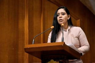 El padrón permitirá a niñas, niños y adolescentes acceder a programas sociales de los gobiernos estatal y municipales.