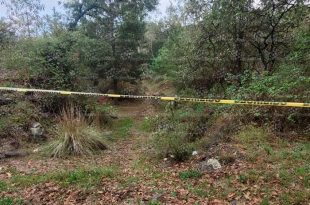 Zona boscosa de Santa Cecilia, en Texcalyacac, donde fue realizado el hallazgo.