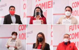 Se indica que “es necesario extender el plazo, para la implementación de un adecuado ejercicio ponderativo"