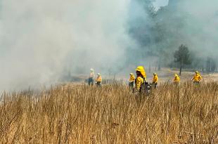 A partir del inicio de la temporada de estiaje, los 348 combatientes de la Protectora de Bosques (Probosque) inician con la época más dura