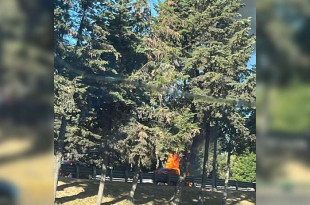 El siniestro, que fue reportado a través de una llamada de emergencia, no dejó personas lesionadas.