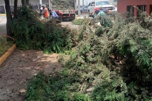 El incidente se registró a la altura de Haciendas del Bosque, en el municipio de Metepec.