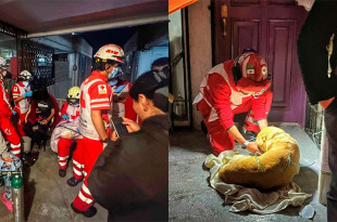 Gracias a un reporte, dos ambulancias fueron enviadas al lugar.