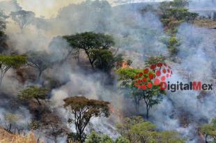 Diputados del PAN propusieron establecer multas a quien efectúe quemas en terrenos agropecuarios colindantes con los terrenos forestales.