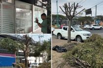 El Procedimiento Administrativo también se inició por infringir el Bando Municipal 2024