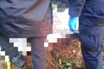 De acuerdo con los residentes, el hallazgo ocurrió minutos antes de las 18:00 horas, cuando regresaban a sus viviendas después de realizar sus labores en el campo.