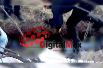 Su cuerpo fue localizado con varios golpes en el cuerpo, el fin de semana en una zanja, en un área boscosa del paraje La Palma.