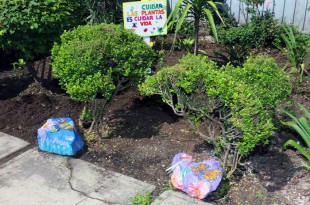 Con tu ayuda, fortaleceremos la flora y fauna de Toluca