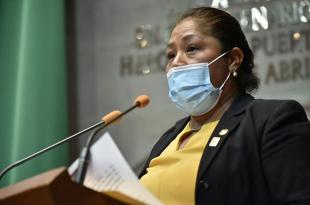 “hoy la dirigencia estatal me da la espalda por ser mujer" dijo la dipuptada