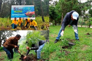 El gobierno municipal busca mantener el 65 por ciento del territorio de Huixquilucan como área verde mediante jornadas de reforestación durante la temporada de lluvias.
