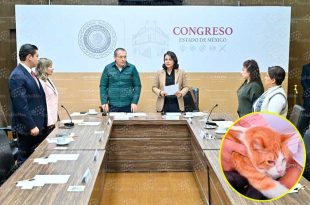 Impulsará acciones contra el maltrato y políticas de protección para seres sintientes