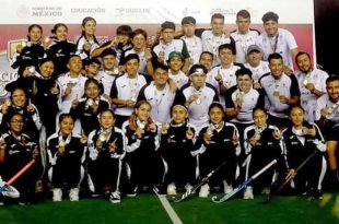 La competencia se desarrolló en el Estadio Panamericano, ubicado en el Polideportivo Revolución de Guadalajara, en Jalisco.