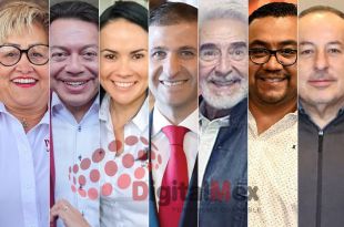 Martha Guerrero, Mario Delgado, Alejandra Del Moral, Juan Maccise, Víctor Quiroz, Ernesto Santillán, José Luis Cervantes
