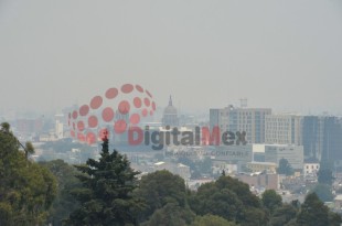 Estas medidas buscan reducir la exposición de la población a altos niveles de ozono