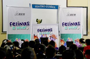 A través de los cuentos El pequeño ciudadano y el bosque de las decisiones y Felinas a votar, estudiantes de primaria conocieron conceptos de participación, inclusión y toma de decisiones colectivas.