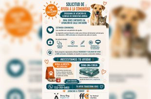 Integrantes de Stray Dog Support Inc. realizarán jornadas de atención veterinaria y bienestar animal en Rayón.