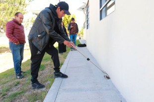 Aunque no se han registrado incidentes, se recomienda extremar precauciones, especialmente en áreas verdes.