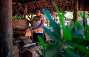 Le dieron también el nombre de "cuidadora de abejas"