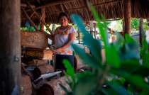 Le dieron también el nombre de "cuidadora de abejas"