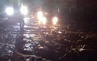 El punto de mayor afectación se registra en el kilómetro 24+900, en la conocida curva de "La Gasera" donde ya es constante la acumulación de lodo y piedras.
