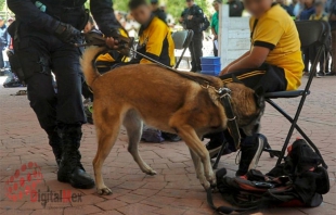 #Video: En 2019 realizaron 181 "Operativos Mochila" en 51 municipios del #Edomex