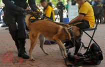 #Video: En 2019 realizaron 181 "Operativos Mochila" en 51 municipios del #Edomex