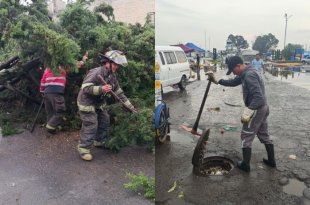 Brigadas de Protección Civil y Bomberos de Toluca atendieron encharcamientos, inundaciones y árboles caídos tras las lluvias registradas este viernes.