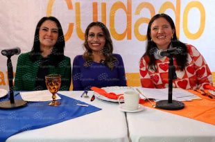 Solo Metepec y Tlalnepantla han iniciado avances municipales en esta materia