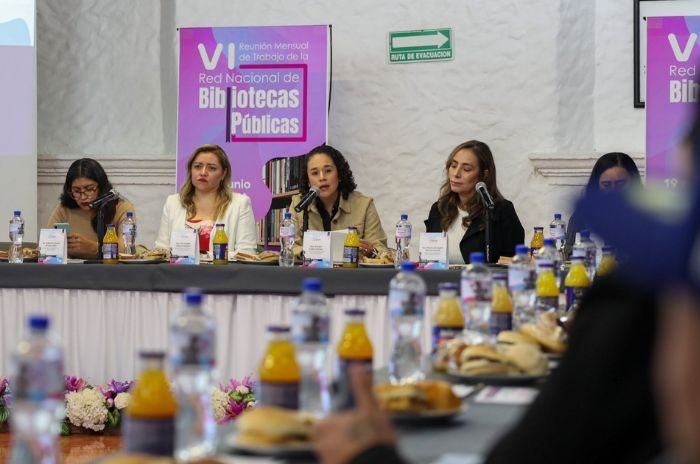 Amalia Pulido Gómez destacó el acceso a la información como pilar de la democracia.