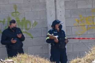 Vecinos realizaron el hallazgo entre las avenidas Las Partidas y Revolución.