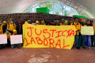 Desde la tarde del domingo 15 de mayo las brigadas de combate de incendios de Probosque en la región sur entraron en protesta y dejaron de atender llamados.
