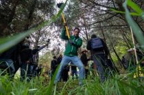 José Alberto Couttolenc Buentello durante el cierre de la gira de reforestación "Un Voto, Un Árbol".