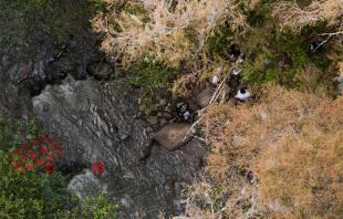 El cuerpo del hombre fue encontrado sin vida en el lugar; fue identificado por sus familiares