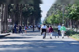 La Ruta Dominical Toluca Recreativa se extiende este domingo para ofrecer un circuito sin autos en Paseo Colón y Venustiano Carranza, con actividades para toda la familia.