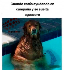 Campañas bajo el agua