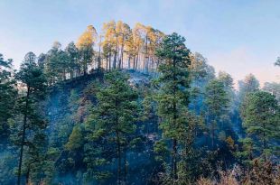 Los propietarios de terrenos en Valle de Bravo deben tomar en cuenta esta regulación