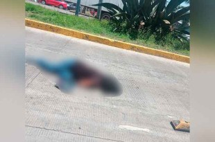 Testigos informaron que el impacto lanzó a la mujer contra el pavimento.