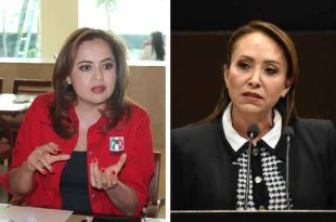 Ana Lilia Herrera tendrá la responsabilidad de organizar al partido de cara a la próxima elección, en la que se elegirán alcaldes, diputados locales y Presidente de la República.