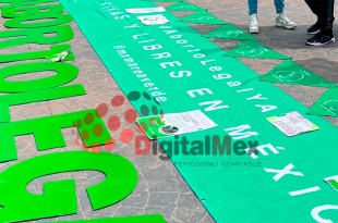 Buscan garantizar educación reproductiva y acceso a la salud.