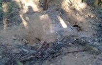 Hallan en Tepetlaoxtoc fosa clandestina con seis cadáveres