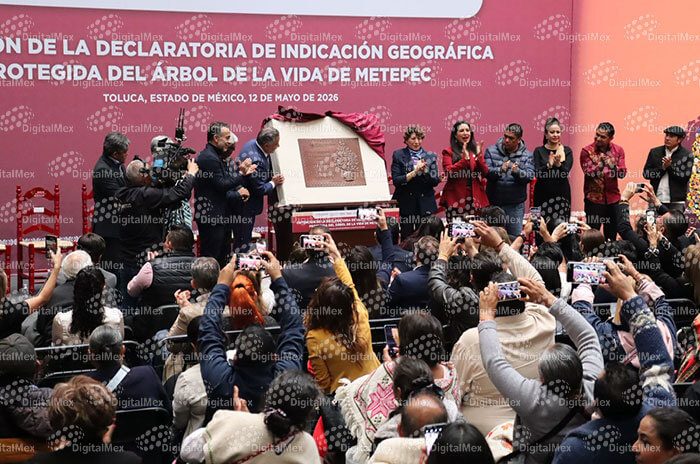 La gobernadora Delfina Gómez Álvarez, el alcalde Fernando Flores Fernández y el director del IMPI, Santiago Nieto Castillo, encabezaron la develación de la placa por la protección oficial del Árbol de la Vida de Metepec.
