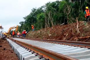 El juzgado señala que las obras iniciaron sin contar antes con la Manifestación de Impacto Ambiental (MIA).