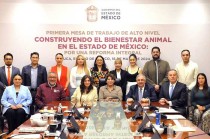 Se tiene como propósito proponer un nuevo marco normativo para el cuidado y protección animal