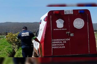 Vecinos descubrieron un cráneo y la osamenta.