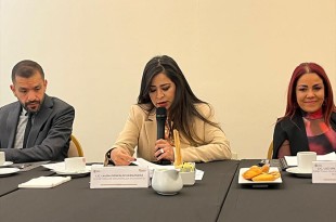 De manera global, el Estado de México ha registrado una inversión extranjera directa (IED) de 7 mil 710 millones de dólares