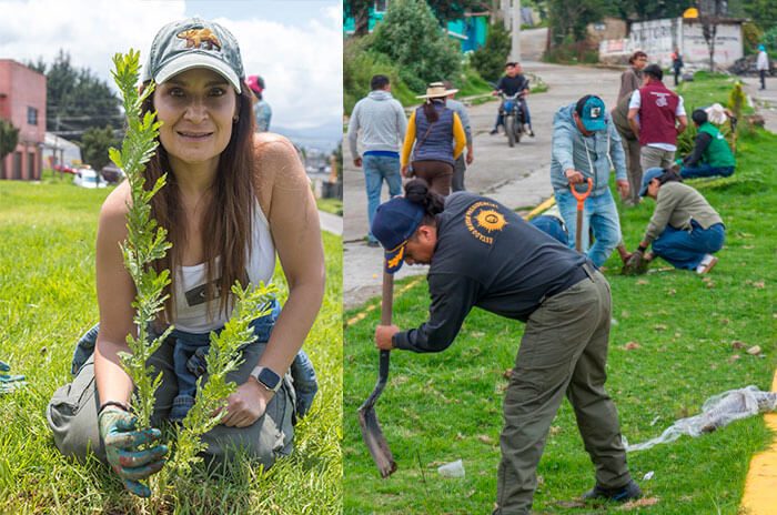 Durante la jornada se realizaron labores de plantación de árboles y especies polinizadoras con la participación de habitantes y personal del gobierno municipal.