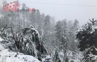 Saldo "blanco" en comunidades del Nevado de Toluca