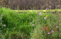 El hallazgo se realizó en el paraje "El Bernal" a un costado de la carretera Jilotzingo-Tlazala