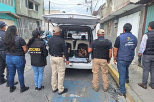 Los perros serán trasladados a fundaciones de protección animal para mejorar su calidad de vida y promover su adopción responsable.